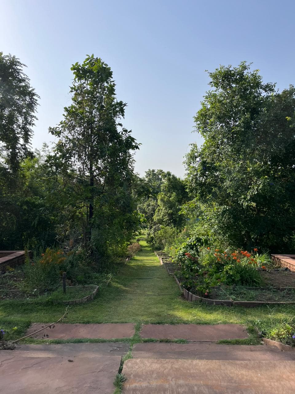 Sumiran Forest garden pathway